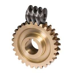 Worm Gear